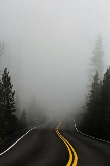 empty road surrounded with trees with fog by Katie Moum courtesy of Unsplash.