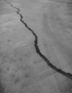 grayscale photo of a wooden floor by Shefali Lincoln courtesy of Unsplash.