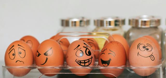 orange and white egg on stainless steel rack by Олег Мороз courtesy of Unsplash.